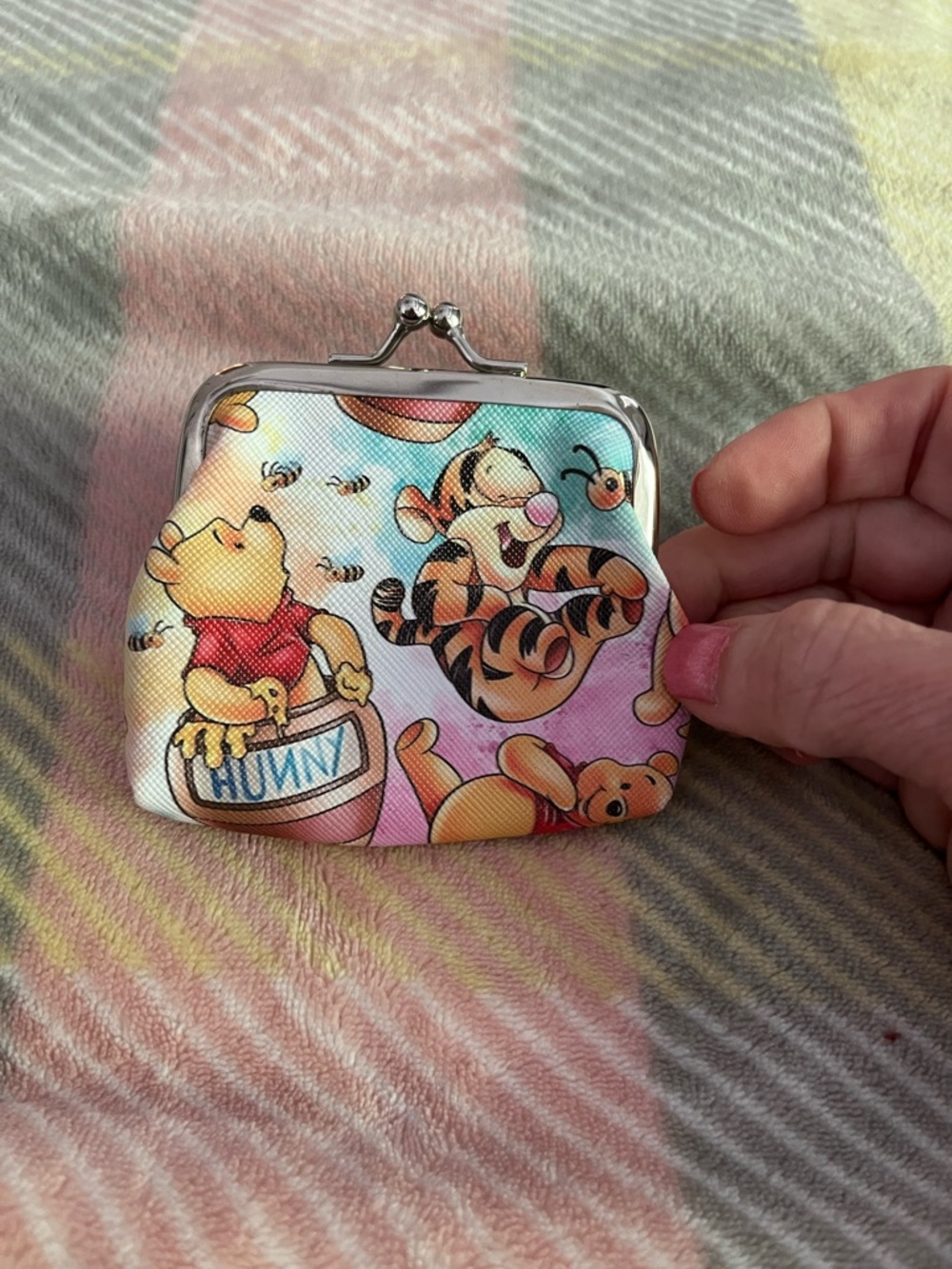 Disney Pastel Winnie the Pooh & Tigger Clasp Coin Purse